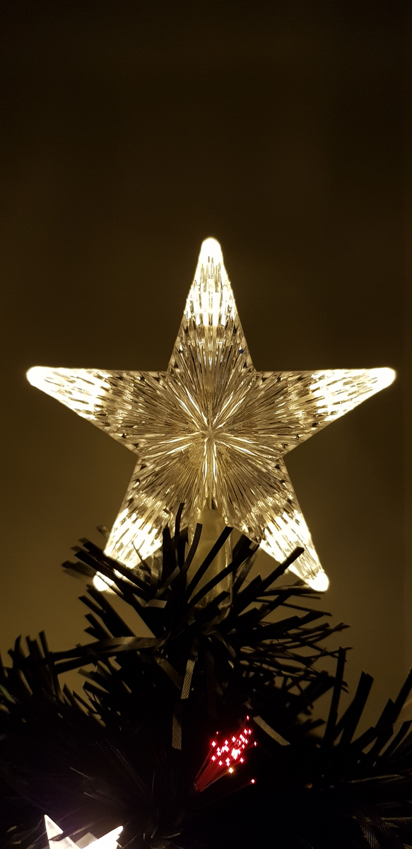 6ft Fibre Optic Black Christmas Tree with Warm White LED Stars