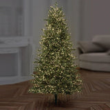 Load image into Gallery viewer, 1000 LED Christmas Treebrights with Timer -Warm White